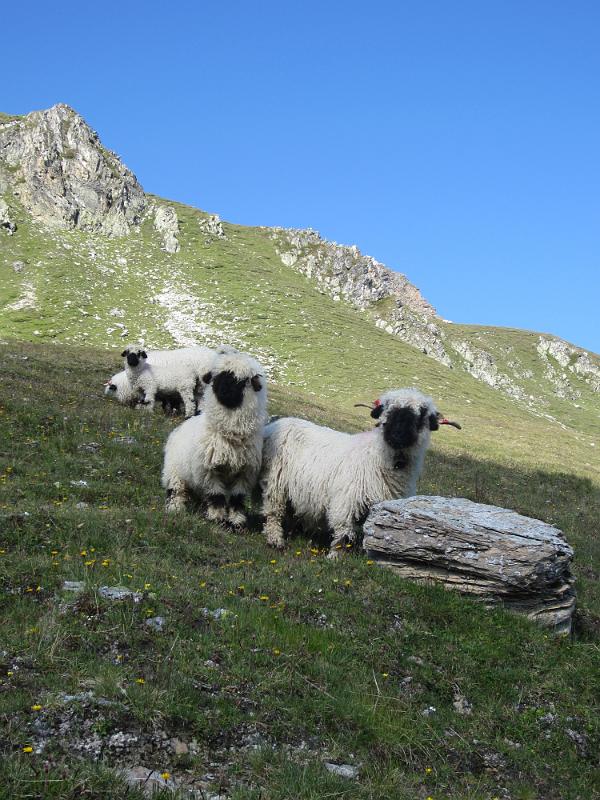 20120724_Cabane_Bec_Bosson-Nax 014.JPG